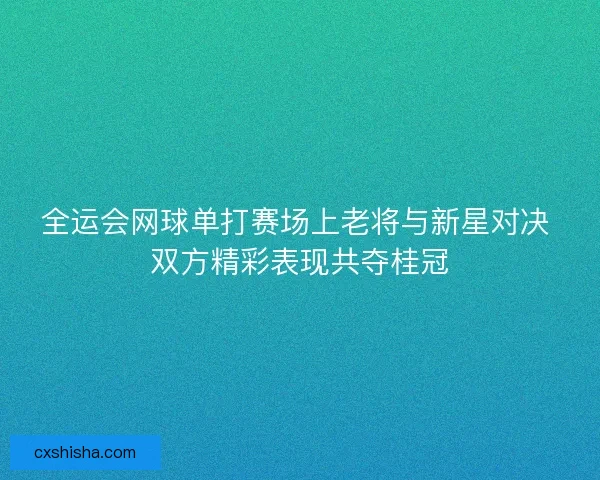 全运会网球单打赛场上老将与新星对决 双方精彩表现共夺桂冠